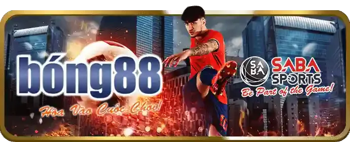 Hoàn Trả Thua Cược